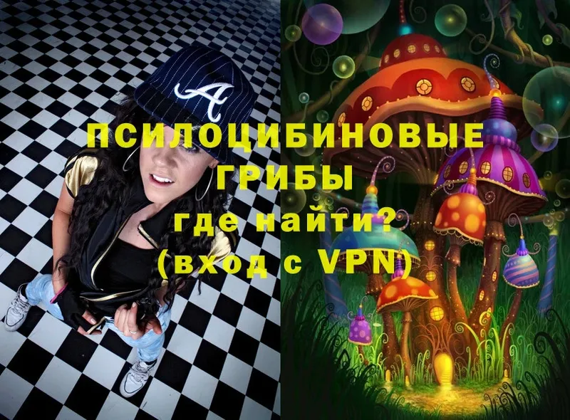 Псилоцибиновые грибы Magic Shrooms  купить наркотики сайты  Берёзовка 